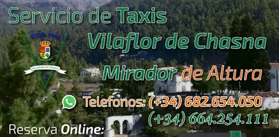 Taxi Vilaflor LM2 - Daniela Comini